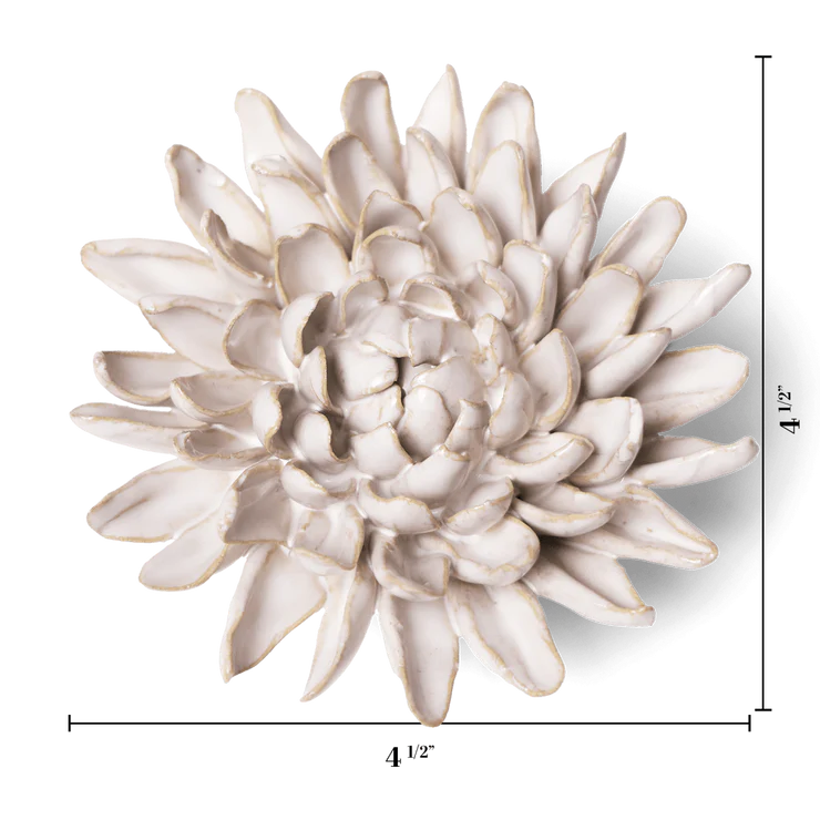 Ivory Chrysanthemum - Country of Origin : United Kingdom