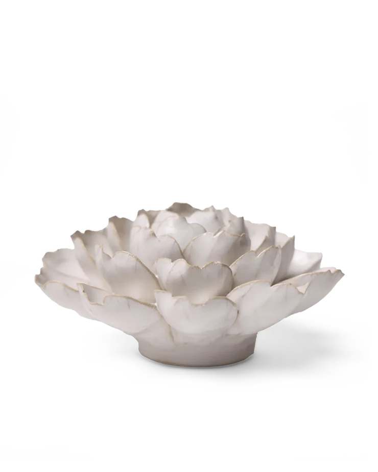 Ivory Empire Cabbage Flower - Country of Origin : United Kingdom