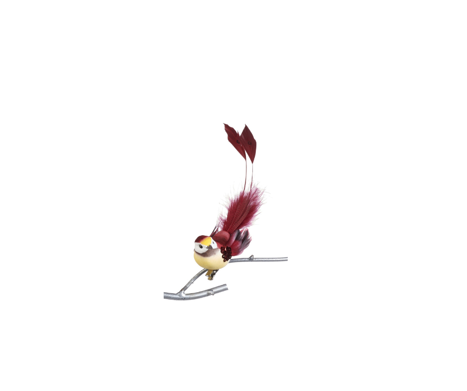 Plume Trop Bird On Clip - Country of Origin : Belgium