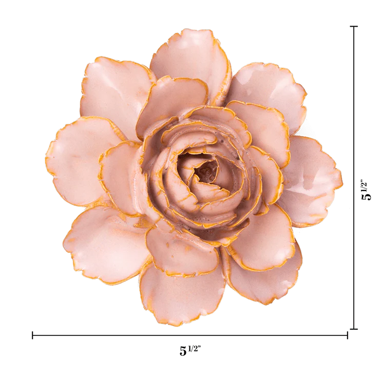 Rose Pink Camellia - Country of Origin : United Kingdom