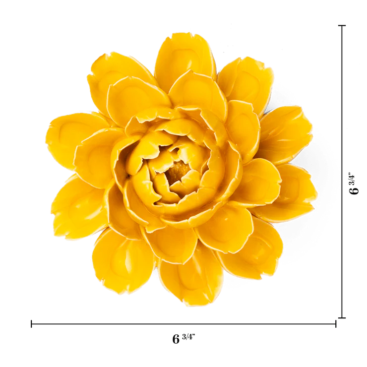 Burnt Yellow Empire Cabbage Flower - Country of Origin : United Kingdom