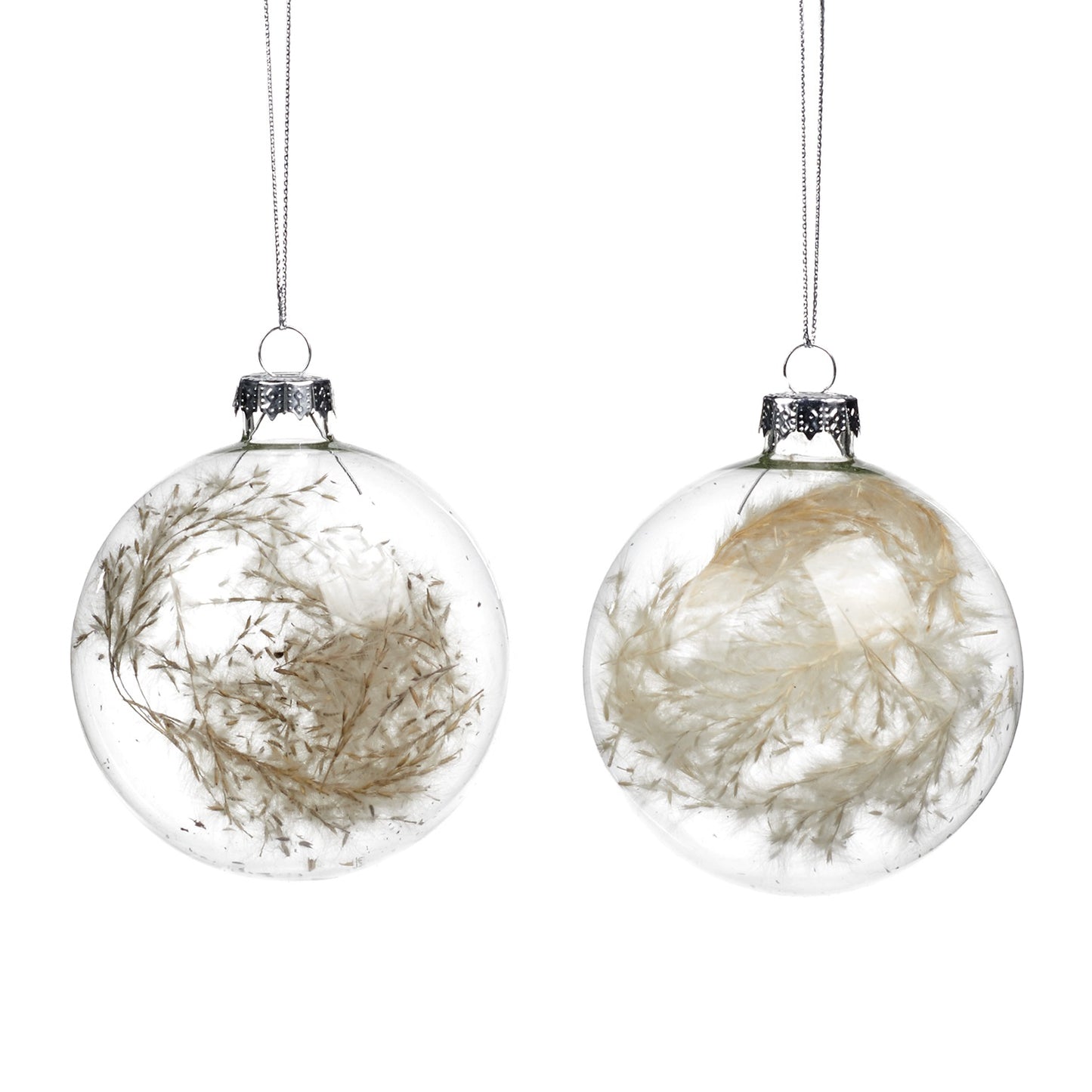 Glass Dried Plant Ball Ornament - 8 cm - Country of Origin : Belgium