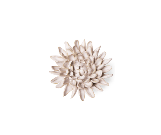 Ivory Chrysanthemum - Country of Origin : United Kingdom