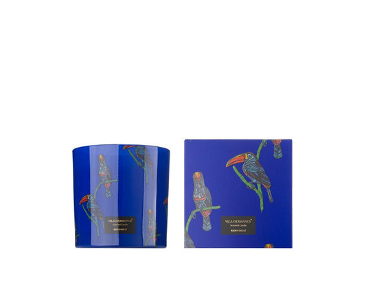 Rain Forest Candle in Jar - 650gr - Country of Origin: Spain
