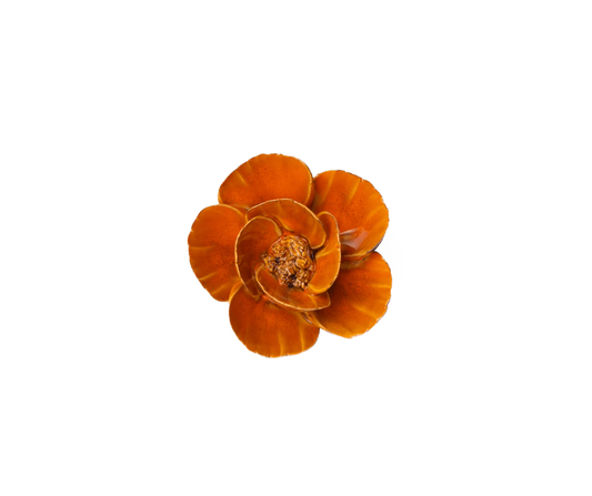 Burnt Orange Poppy - Country of Origin : United Kingdom