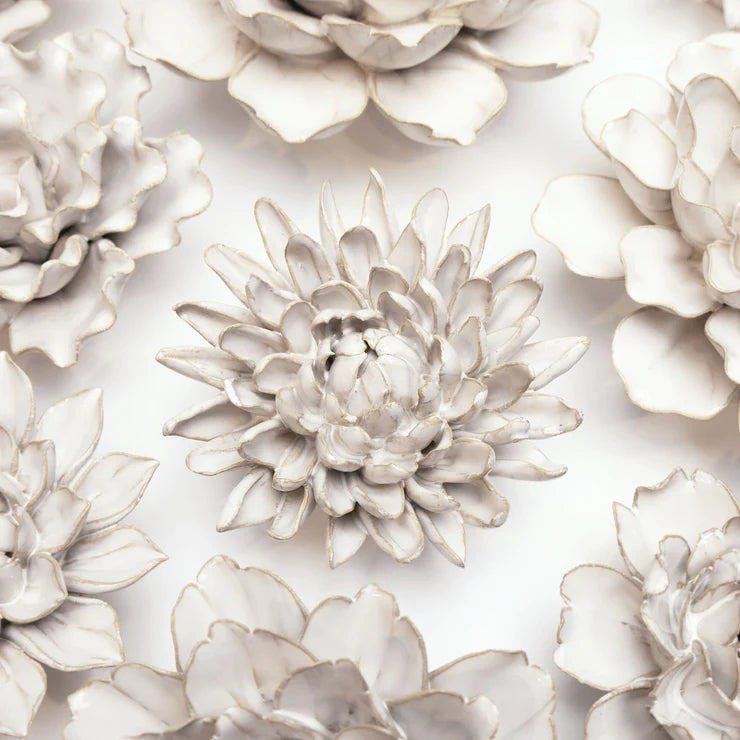 Ivory Chrysanthemum - Country of Origin : United Kingdom