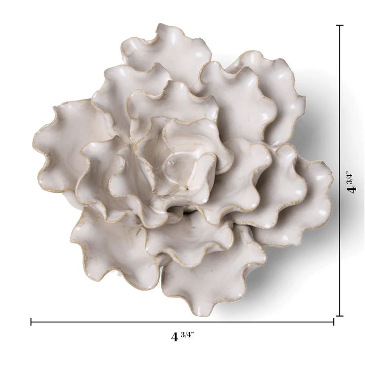 Ivory Sea Lettuce Medium - Country of Origin : United Kingdom