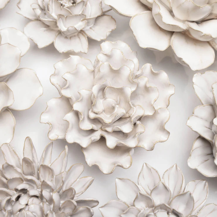 Ivory Sea Lettuce Medium - Country of Origin : United Kingdom