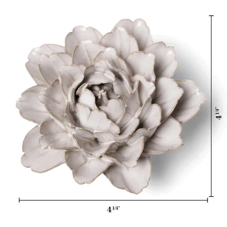 Ivory Comanche Peony - Country of Origin : United Kingdom