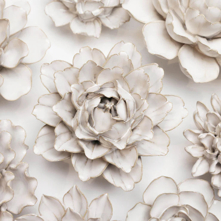 Ivory Comanche Peony - Country of Origin : United Kingdom