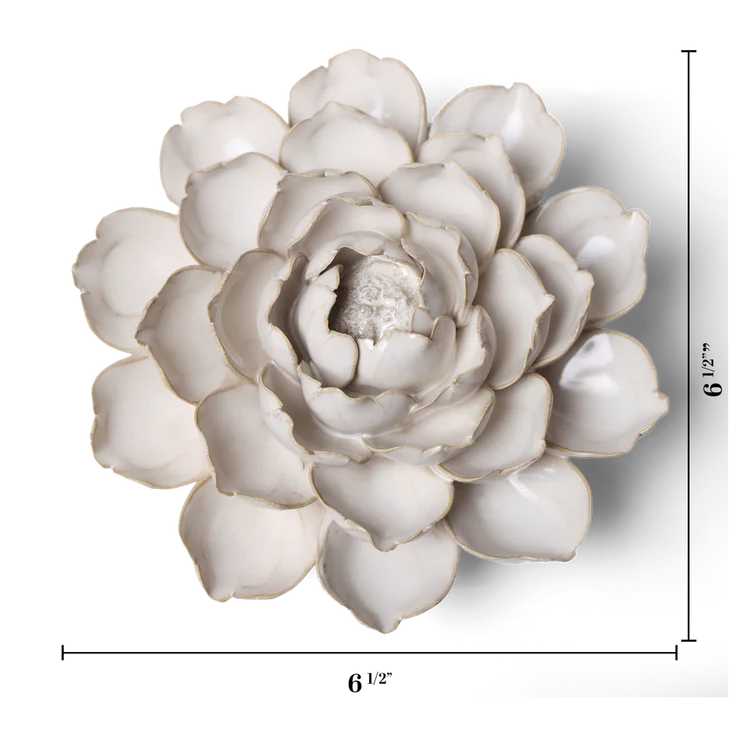Ivory Empire Cabbage Flower - Country of Origin : United Kingdom