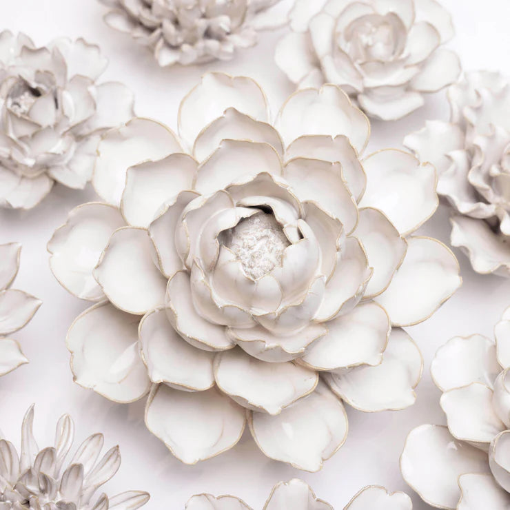 Ivory Empire Cabbage Flower - Country of Origin : United Kingdom