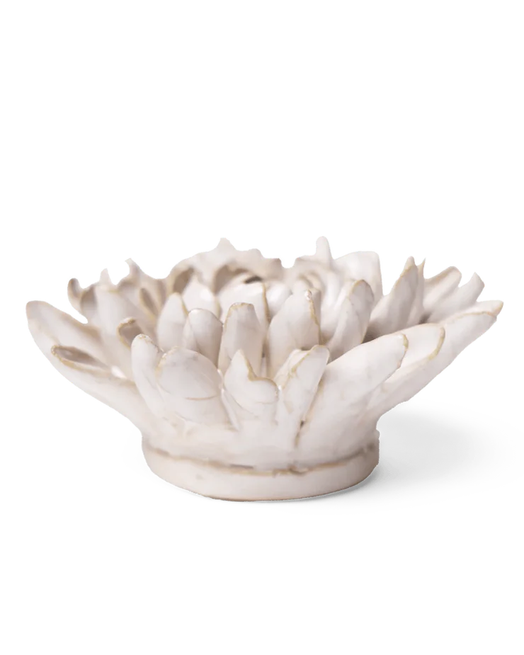 Ivory Chrysanthemum - Country of Origin : United Kingdom