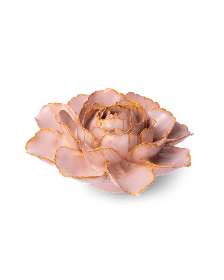 Rose Pink Camellia - Country of Origin : United Kingdom