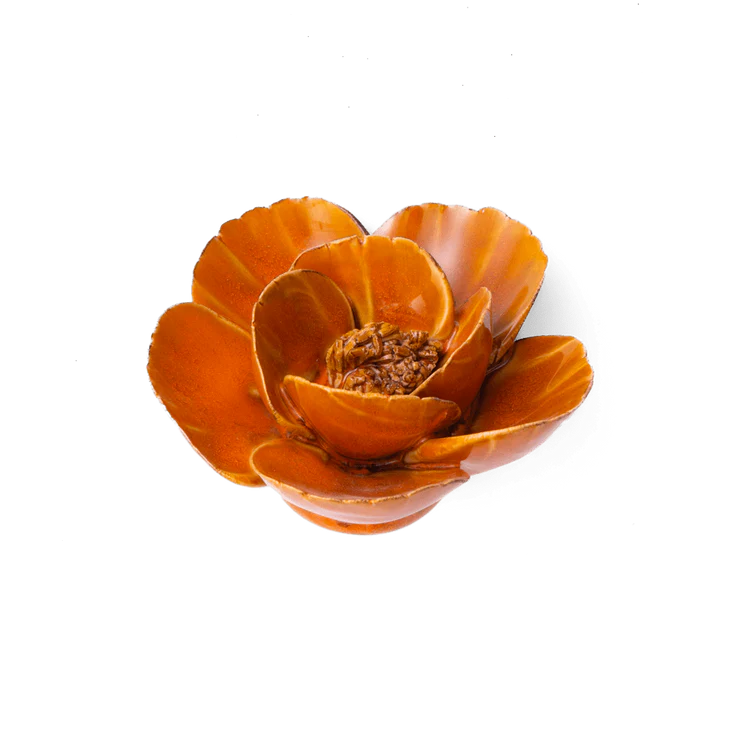 Burnt Orange Poppy - Country of Origin : United Kingdom