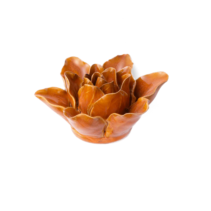 Burnt Orange Stargazer Lily Country of Origin : United Kingdom