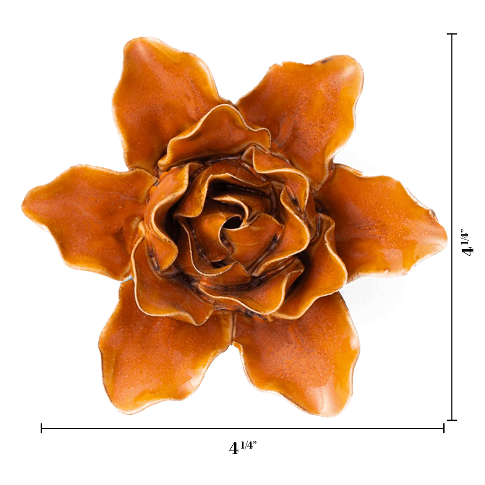 Burnt Orange Stargazer Lily Country of Origin : United Kingdom