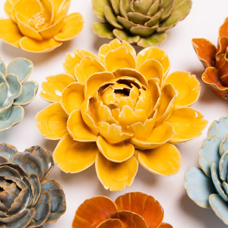 Burnt Yellow Empire Cabbage Flower - Country of Origin : United Kingdom