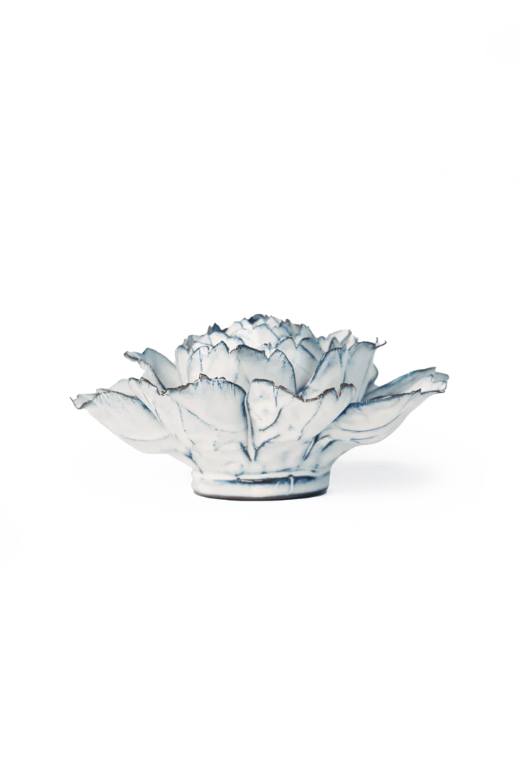 Blue White Camellia - Country of Origin : United Kingdom