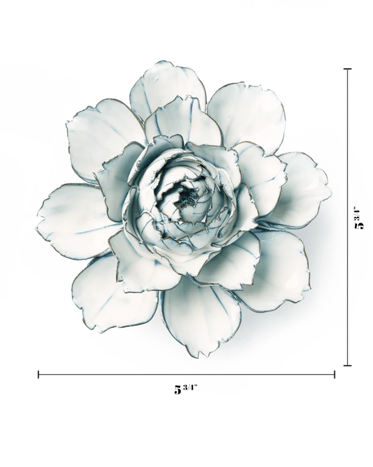Blue White Camellia - Country of Origin : United Kingdom