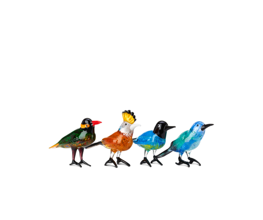 Paradise Birds Set of 4 - Country of Origin: Netherlands