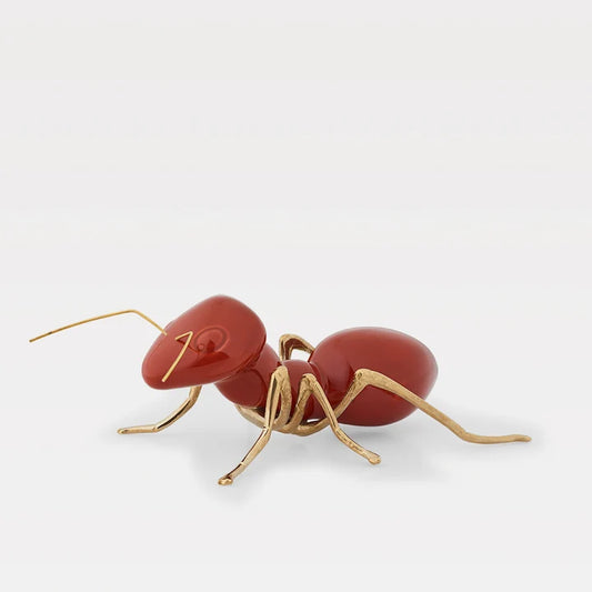 Laboratorio d'Estorias Brick Ant with natural brass - Country of Origin: Portugal